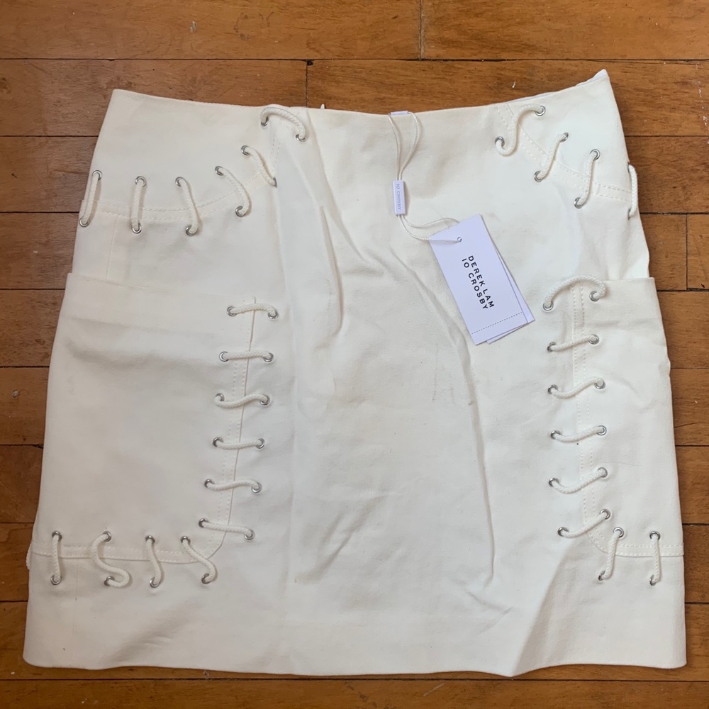 Derek Lam Skirt